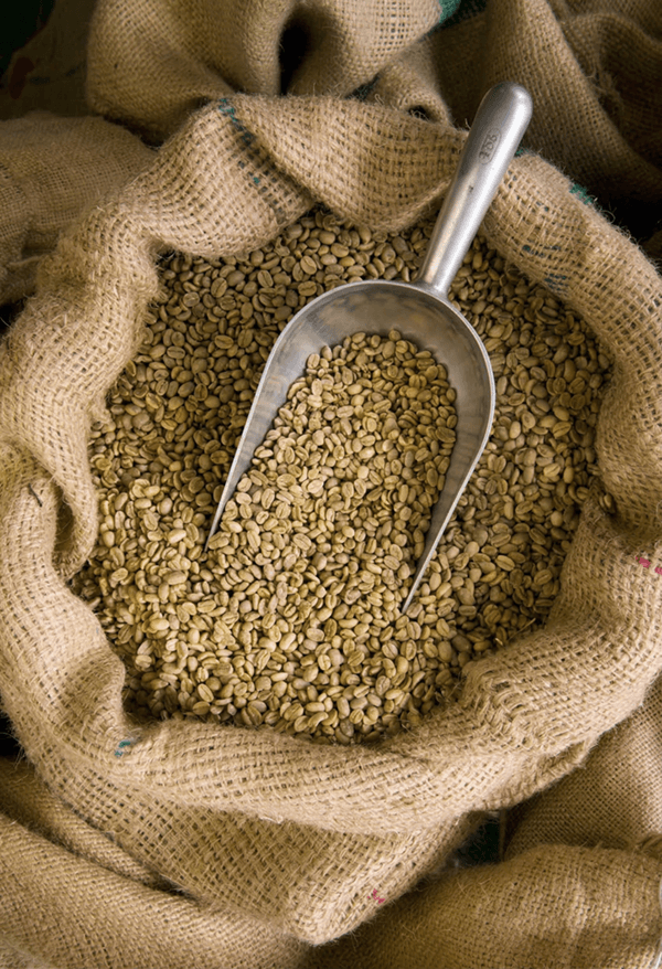 Café verde — Calidad
